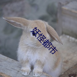 妖怪都市(shì)