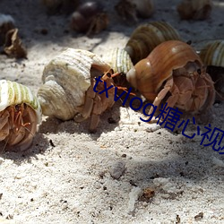 txvlog糖心视频app下载