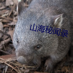 山(shān)海秘(mì)闻录