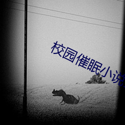 校园催眠小说全集