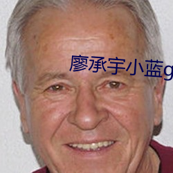 廖承宇小藍gⅤ