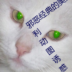 邪惡經典的美女動態GIF圖片:海量美女福利動圖誘惑