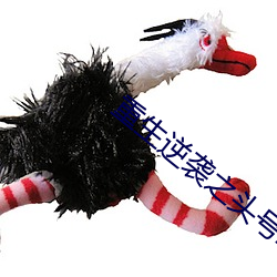 重生逆袭之头号军婚 （中落