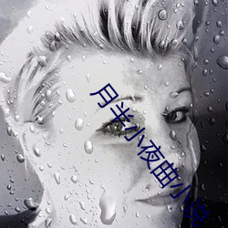 月半小夜曲小說