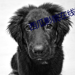 九游会登录j9入口 - 中国官方网站 | 真人游戏第一品牌