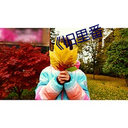 《舊裏番