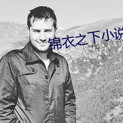 錦衣之下小說