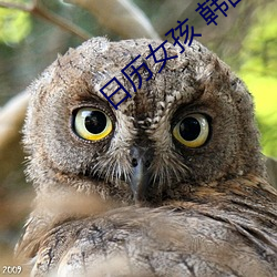 日(rì)历女孩 韩国(guó)