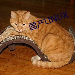 国产LINUX