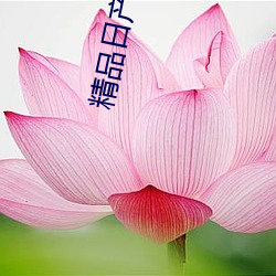 精品日产3000部麻
