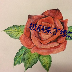 極品家丁綠帽