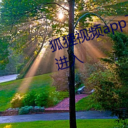 狐狸视频app下载(zài)十(shí)八岁以下禁止进入