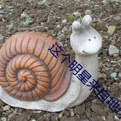 这(zhè)个(gè)明星来自地球