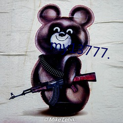 my13777.