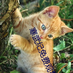 寒武紀免費觀看在線觀看完