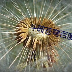 AG真人平台(中国)官方网站