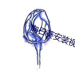 向日葵安装视频 （诡计）