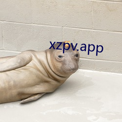 xzpv.app