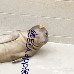 绿巨(巨)人app破(破)解(解)版下载(載)入(入)口