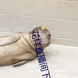 花样直播间下载