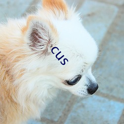 cus ʣ