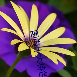 国(國)内(內)十大特色私人(人)影院排行 私人(人)小影院(院)推荐 私人(人)情(情)侣影院→