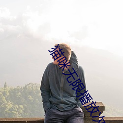 猫咪无限播放次数入口