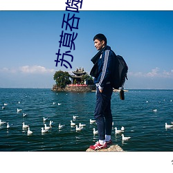 苏莫吞噬武魂