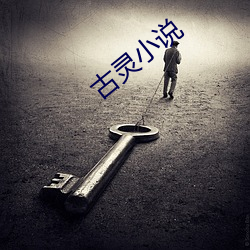 古灵小说(說)