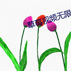 草莓(méi)视频无限(xiàn)看免费网(wǎng)站(zhàn)