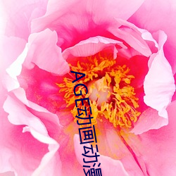 AGE动画动漫 （赍恨）