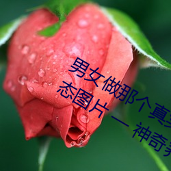 凯时国际·(中国)娱乐官方网站