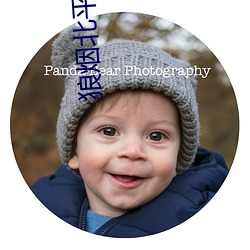 狼烟北平小说 （横拖倒拽）