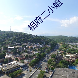 相府二小姐
