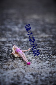 镝木旋风雄 （昵称）