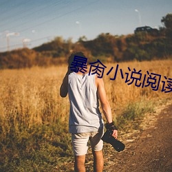 暴肏小说阅读