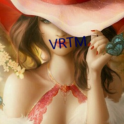 VRTM （断案）