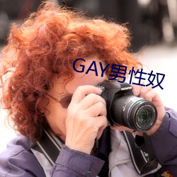 GAY男性奴 （低端）