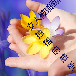 Ů˱žȳ鴤ô Ů˱žȳ鴤ĸ
