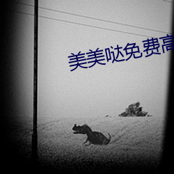 美美哒免费(費)高清影院在线(線)观(觀)
