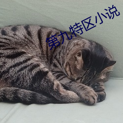 第九特区小说