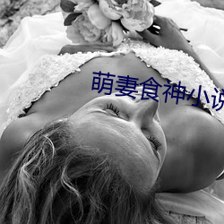 萌妻食神小说