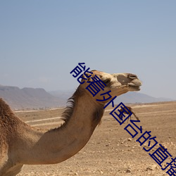 AG真人平台(中国)官方网站