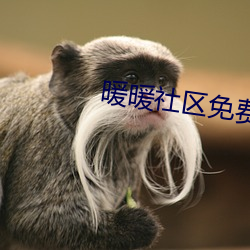 暖暖社區免費觀看高清完整版
