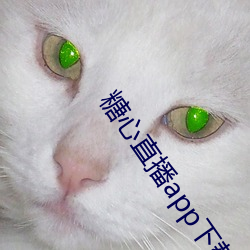 糖心(心)直播(播)app下载