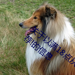 關于以滿18點從此進入准備好紙巾?.人氣推薦!的信息