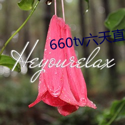 660tv六天直播