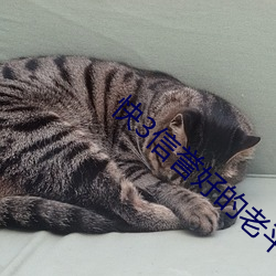 快3信譽好的老平台