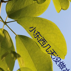 小东西几天没做水这么多还