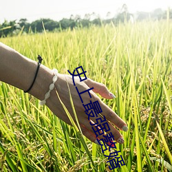 史上最强赘婿 （亡国大夫）